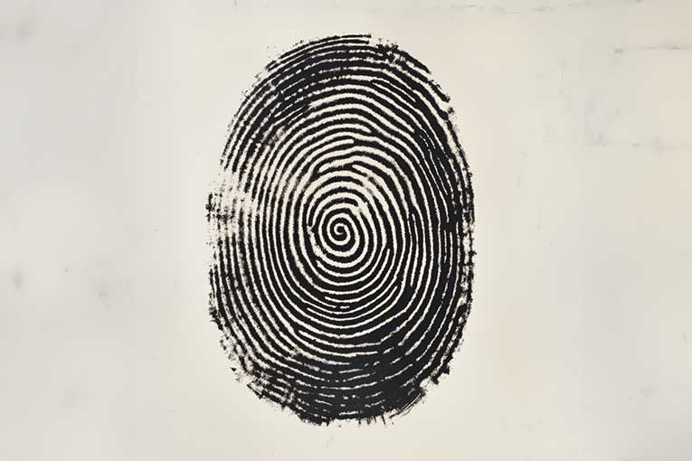 Identical twins don’t have the same fingerprints logo